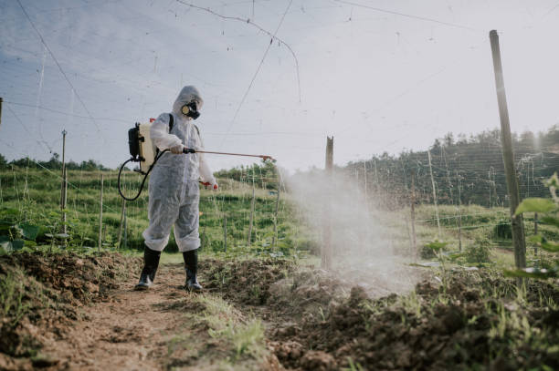 Best Affordable Pest Control Services  in Grants Pass, OR