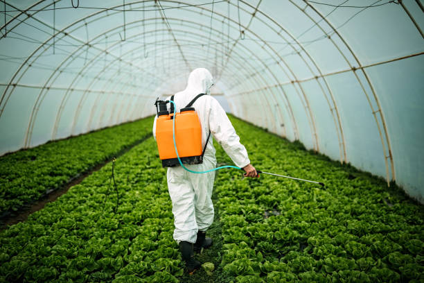 Best Best Pest Control Companies  in Grants Pass, OR
