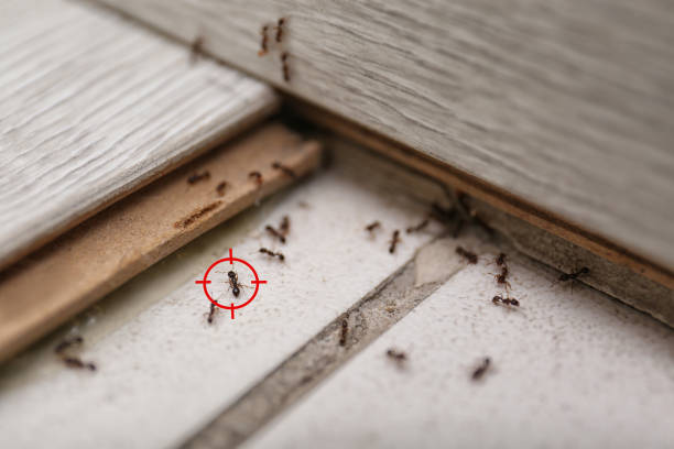 Grants Pass, OR Pest Control Pros