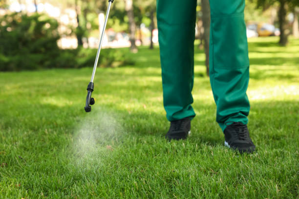 Best Mosquito Control Services  in Grants Pass, OR