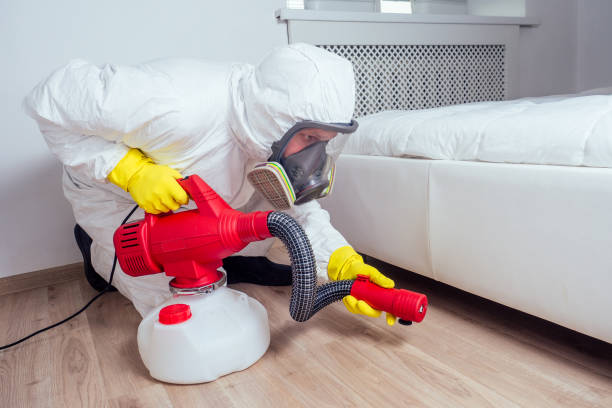 Insect Control in Grants Pass, OR