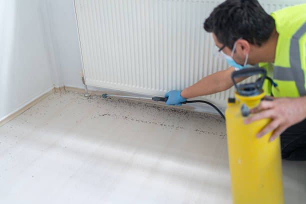 Best Residential Pest Control  in Grants Pass, OR