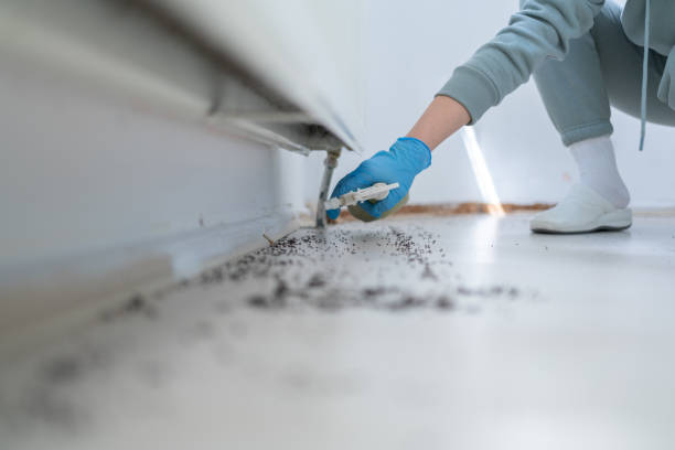 Best Pest Prevention Services  in Grants Pass, OR